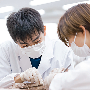 医学部